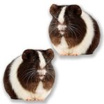 2 x 15cm/150mm Guinea Pig Vinyl Sticker Decal Laptop Travel Luggage Car iPad Sign Fun #6617