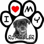 Imagine This 5-1/2-Inch by 5-1/2-Inch Car Magnet Picture Paw, Rottweiler
