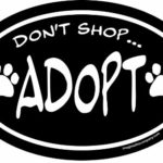 Imagine This 4-Inch by 6-Inch Car Magnet Social Issues Oval, Don’t Shop Adopt