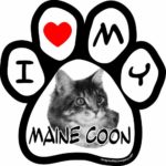 Imagine This I love My Maine Coon Image Paw Car Magnet, 5-1/2-Inch by 5-1/2-Inch