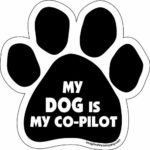 Imagine This Paw Car Magnet, My Dog is My Co-Pilot, 5-1/2-Inch by 5-1/2-Inch