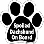 Imagine This Paw Car Magnet, Spoiled Dachshund on Board, 5-1/2-Inch by 5-1/2-Inch