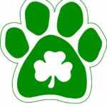 Imagine This 5-1/2-Inch by 5-1/2-Inch Car Magnet Lucky Irish, Shamrock in Paw