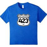 Chattanooga 423 Area Code T-Shirt Vintage Road Sign Tee