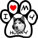 Imagine This 5-1/2-Inch by 5-1/2-Inch Car Magnet Picture Paw, Husky