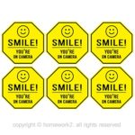 Homework2, Smile You’re On Camera Stickers, Yellow Octagon-Shaped, 3.3 X 3.3 Inch Vinyl Decals – Indoor & Outdoor Use, UV Protected & Waterproof – 6 Labels