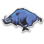 2 x 20cm/200mm Angry Wild Boar Hog Pig Vinyl Sticker Decal Laptop Travel Luggage Car iPad Sign Fun #5488