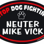 Imagine This 4-Inch by 6-Inch Car Magnet Social Issues Oval, Neuter Mike Vick