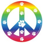 Peace Sign Rainbow Magnet