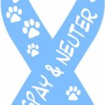 Imagine This 8-Inch by 4-Inch Car Magnet Social Issues Ribbon, Please Spay and Neuter, Blue