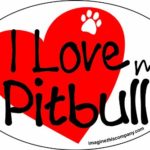 Imagine This 4-Inch by 6-Inch Car Magnet Heart Oval, Pit Bull