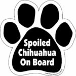 Imagine This Paw Car Magnet, Spoiled Chihuahua on Board, 5-1/2-Inch by 5-1/2-Inch