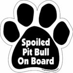 Imagine This Paw Car Magnet, Spoiled Pitbull on Board, 5-1/2-Inch by 5-1/2-Inch