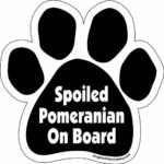 Imagine This Paw Car Magnet, Spoiled Pomeranian on Board, 5-1/2-Inch by 5-1/2-Inch