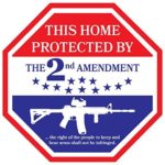This Home Protected By The 2nd Amendment Vinyl Decal Sticker|Car Truck Van Wall Laptop|FULL COLOR|5 In|KCD703