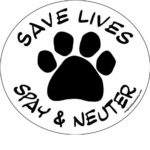 Imagine This 4-3/4-Inch by 4-3/4-Inch Car Magnet Social Issues Circle, Save Lives White Spay and Neuter