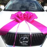 Weebumz Giant Bows for Car – Big Bow for A Huge Gift. Large Ribbon Pull-Bows Make an Outdoor Decoration, are Decorative for Valentines Day Presents – 23-Inch, Pink