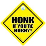 DRIVING iwantthatsign.com Honk If You’re Horny Car Sign, Honk If You’r Horny, Baby On Board, Bumper Sticker, Decal, Car Sign, Funny Car Sign, Sexy Car Sign
