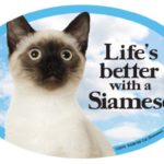 Cat (Siamese) Oval Dog Magnet for Cars by Prismatix