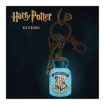 Harry Potter – Themed Light Up Key Ring