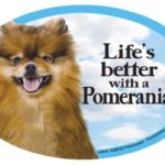 Life’s Better Prismatix Decal DGM162 Pomeranian Dog Magnet for Cars 1.6oz each