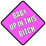 LuxeAccessories Baby Up On This Bitch Vehicle Safety Sticker Premium Quality Funny Sign Sticker baby on board