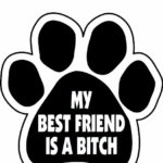 Imagine This My Best Friend is a Bitch Paw Car Magnet, 5-1/2-Inch by 5-1/2-Inch