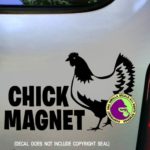 CHICK MAGNET Funny Chicken Rooster Hen Decal Vinyl Bumper Sticker Laptop Egg Poultry Window Car Trailer Wall Sign BLACK