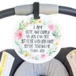 Baby Safety No Touching Newborn, Baby car seat tag, Baby Shower Gift, Stroller tag, Baby Preemie no Touching car seat Sign
