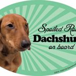 Prismatix Decal Dachshund Car Magnets: Spoiled Rotten Dachshund – Oval 6″ x 4″ Auto/Truck/ Refrigerator/Mailbox (Funny Car Decals, Dog Magnet, Dachshund)