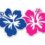 Magnet Hibiscus Blue and Pink Tropical Cute Flowers Hawaii – Magnetic vinyl sticks to any metal fridge, car, signs 5″