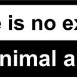 There is no excuse for animal abuse sticker – Pet – Car Bumper Sticker / Bedroom Door Sign Decal – Naughty Funny 70mm x 200mm
