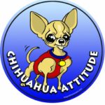 Imagine This 4-3/4-Inch by 4-3/4-Inch Car Magnet Dog Attitude, Chihuahua