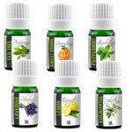 Aroma2Go Essential Oils Set, 100% Pure Undiluted, Therapeutic Grade, Plant Based | 5ML Peppermint, Lavender, Sweet Orange, Lemon, Tea Tree & Eucalyptus (Six Pack Essentials)