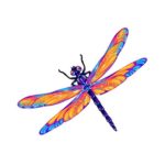 Beautiful Dragon Fly Pink and Purple Decal – Five Inch Wide Full Color Decal – For Indoor or Outdoor Use – Car, Truck, Laptop, MacBook
