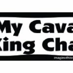 Imagine This Bone Car Magnet, I Love My Cavalier King Charles, 2-Inch by 7-Inch