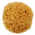 Natural Sea Wool Sponge 4-5″ by Spa Destinations Amazing Natural Renewable Resource”Creating The In Perfect Bath and Shower Experience” 100% Satisfaction Guarantee!
