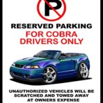 2003 2004 Ford SVT Cobra Mystichrome Mustang Convertible Car-toon No Parking Sign