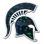 Michigan State Spartans Green NCAA Reflective 3D Decal Domed Auto Sticker Emblem