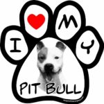 Imagine This 5-1/2-Inch by 5-1/2-Inch Car Magnet Picture Paw, Pit Bull