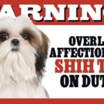 Warning Overly Affectionate Shih Tzu On Duty