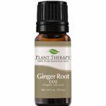 Plant Therapy Ginger Root CO2 Essential Oil | 100% Pure, Undiluted, Natural Aromatherapy, Therapeutic Grade | 10 milliliter (1/3 ounce)