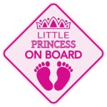 Little Princess ON Board Magnet Baby Car Sign