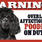Prismatix Decal Poodle (Black) Funny Signs: Warning Overly Affectionate Poodle (Black) on Duty – Rectangle 8″ x 5″ Door/Wall/ Window Sign (Funny Signs, Poodle (Black)