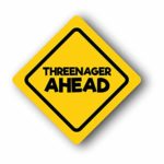 JAYD Products, 3 year old birthday Caution Signs, Three Year Old Birthday Decorations, (3ct) Construction Party Signs, Threenager Ahead, Three Year Old Ahead & Happy Birthday Sign
