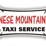 Bernese Mountain Dog Taxi Service – magnetic bone sign