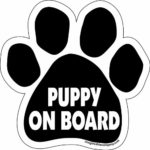 Imagine This Paw Car Magnet, Puppy on Board, 5-1/2-Inch by 5-1/2-Inch