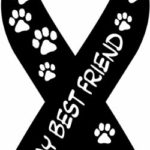 Imagine This 8-Inch by 4-Inch Car Magnet Social Issues Ribbon, in Loving Memory of My Best Friend, Black