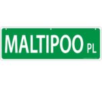 Imagine This Maltipoo Street Sign