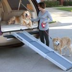 PetSafe Solvit Deluxe Tri-Scope Telescoping Pet Ramp or Carrying Case, 28 in. – 70 in., Portable Lightweight Aluminum Dog Ramp